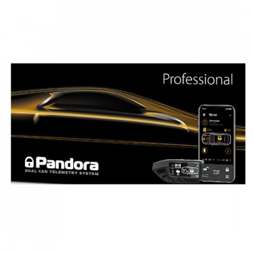 Pandora Professional